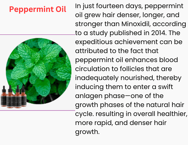 Peppermint Oil for hair Growth